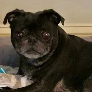 Meet your Posher, Marie